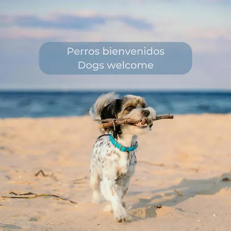 아파트 Kiwi Smoothie - En La Playa, Doble Terraza, Cocina Completa, Dos Camas Y Wifi Cotillo