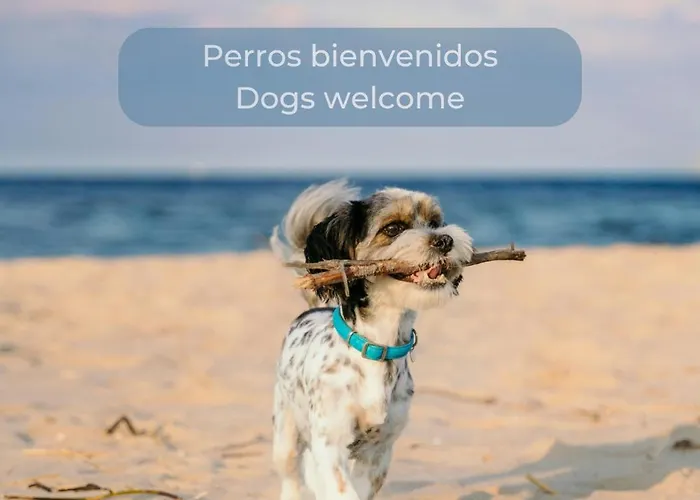 Apartament Kiwi Smoothie - En La Playa, Doble Terraza, Cocina Completa, Dos Camas Y Wifi Cotillo