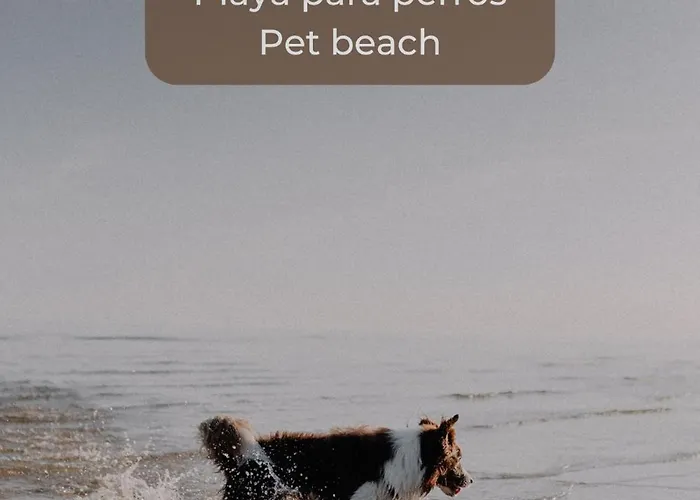 Kiwi Smoothie - En La Playa, Doble Terraza, Cocina Completa, Dos Camas Y Wifi * Cotillo