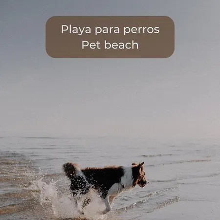 Kiwi Smoothie - En La Playa, Doble Terraza, Cocina Completa, Dos Camas Y Wifi * Cotillo